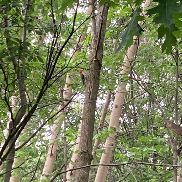 Meet your Posher, Jenny - Picture 6 of 16